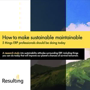 erp-self-sufficiency-roadmap