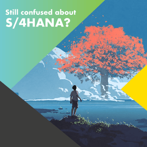 longform-s4-hana-migration-guide