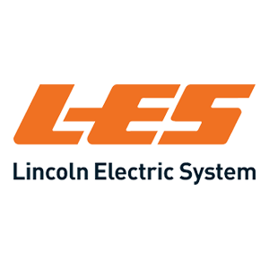 LES S/4HANA consultancy migration