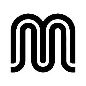 TFGM SAP migration advisory